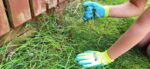 Kids garden gloves Size 5-MYHOMETOOLS-STALCO